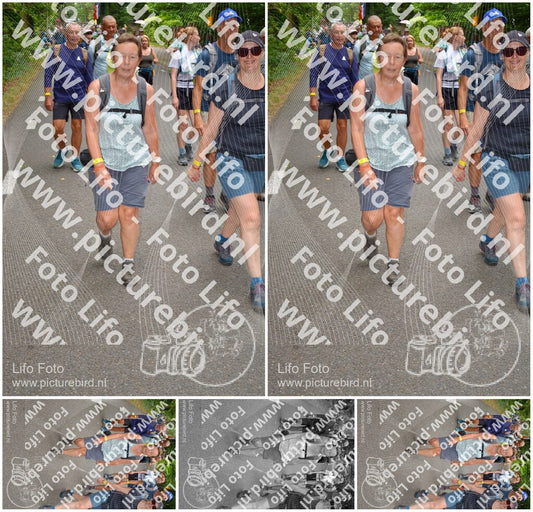 Evenement foto: Nijmeegse Vierdaagse 952