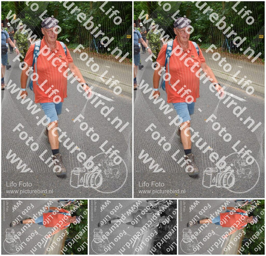 Evenement foto: Nijmeegse Vierdaagse 952