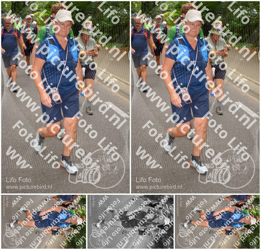 Evenement foto: Nijmeegse Vierdaagse 952