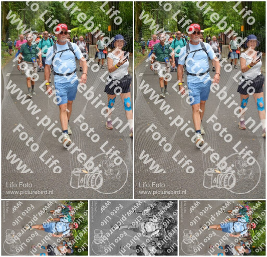 Evenement foto: Nijmeegse Vierdaagse 952