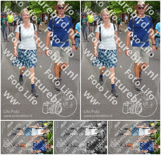 Evenement foto: Nijmeegse Vierdaagse 952