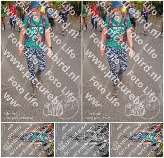 Evenement foto: Nijmeegse Vierdaagse 952