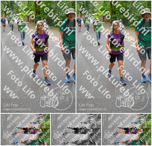 Evenement foto: Nijmeegse Vierdaagse 951