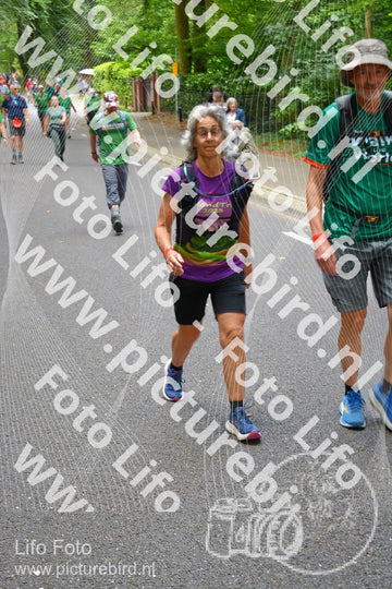 Evenement foto: Nijmeegse Vierdaagse 951