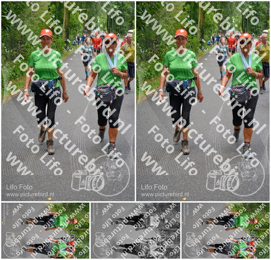 Evenement foto: Nijmeegse Vierdaagse 951