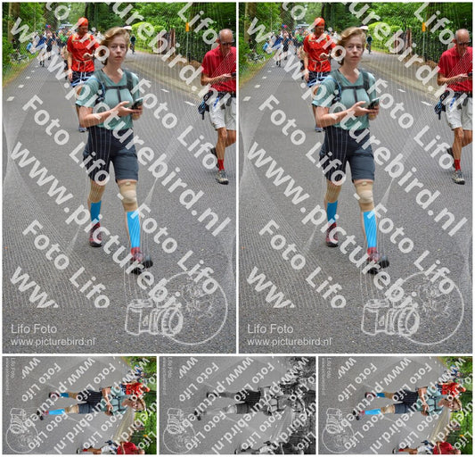 Evenement foto: Nijmeegse Vierdaagse 951