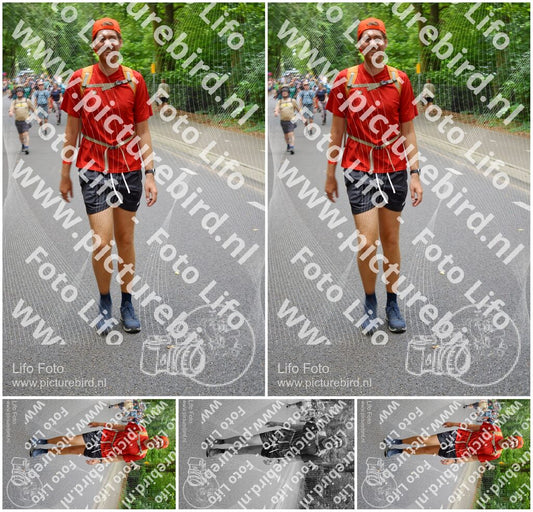 Evenement foto: Nijmeegse Vierdaagse 951