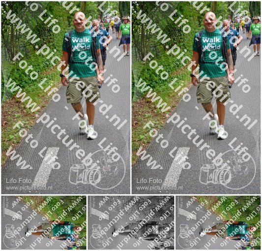 Evenement foto: Nijmeegse Vierdaagse 951