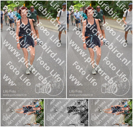 Evenement foto: Nijmeegse Vierdaagse 951