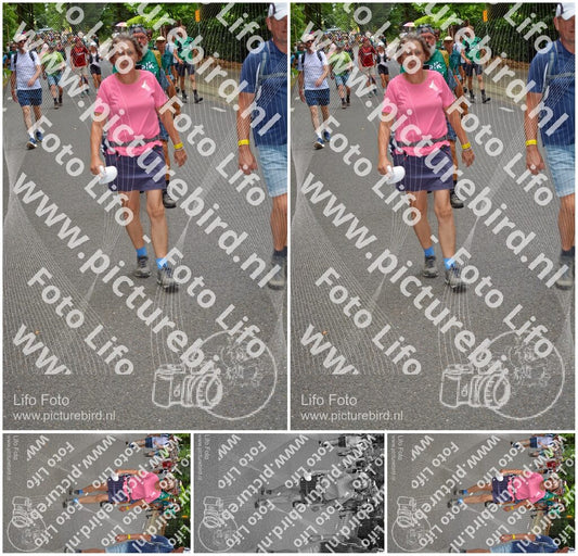 Evenement foto: Nijmeegse Vierdaagse 951