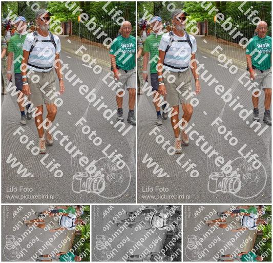 Evenement foto: Nijmeegse Vierdaagse 951