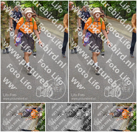 Evenement foto: Nijmeegse Vierdaagse 951