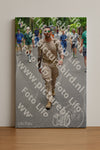 Evenement foto: Nijmeegse Vierdaagse 951