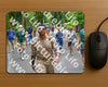 Evenement foto: Nijmeegse Vierdaagse 951