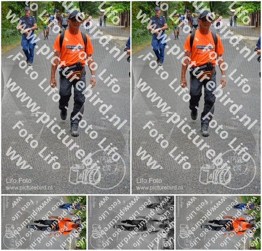 Evenement foto: Nijmeegse Vierdaagse 951