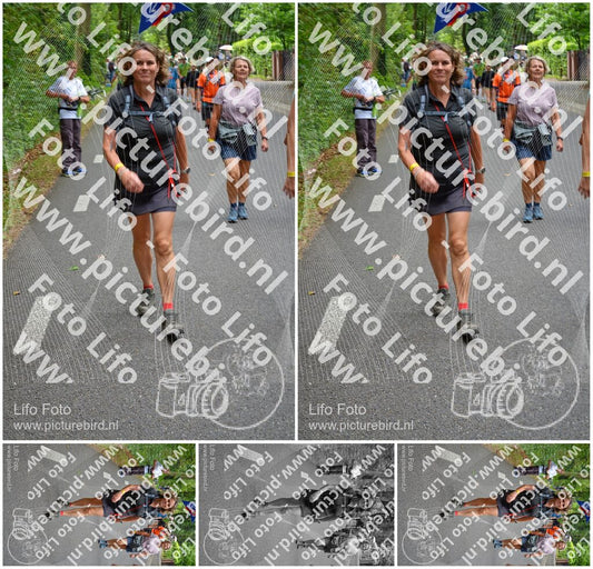 Evenement foto: Nijmeegse Vierdaagse 951