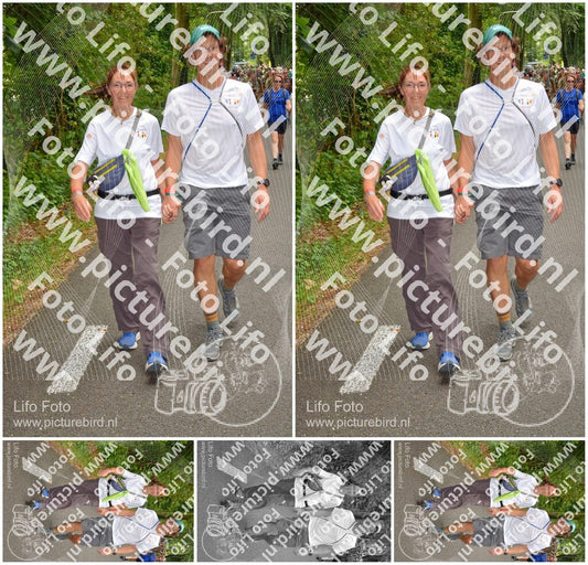 Evenement foto: Nijmeegse Vierdaagse 951
