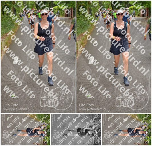 Evenement foto: Nijmeegse Vierdaagse 951