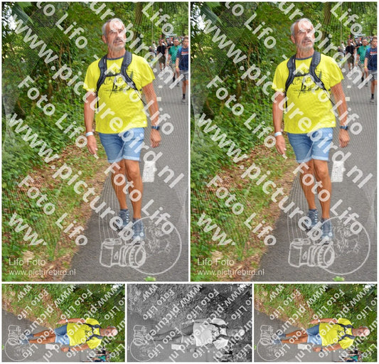 Evenement foto: Nijmeegse Vierdaagse 951