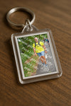 Evenement foto: Nijmeegse Vierdaagse 951
