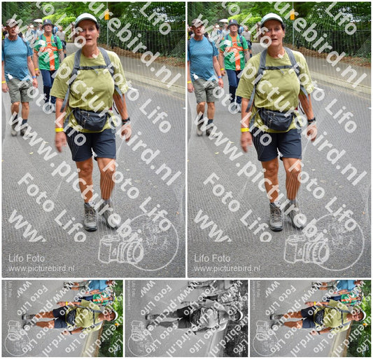 Evenement foto: Nijmeegse Vierdaagse 951