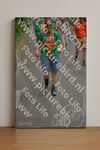 Evenement foto: Nijmeegse Vierdaagse 951