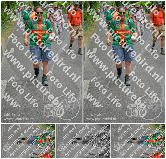 Evenement foto: Nijmeegse Vierdaagse 951
