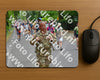 Evenement foto: Nijmeegse Vierdaagse 951