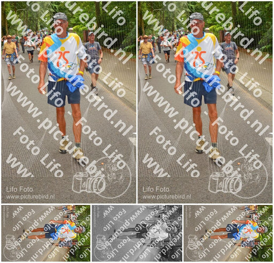 Evenement foto: Nijmeegse Vierdaagse 951