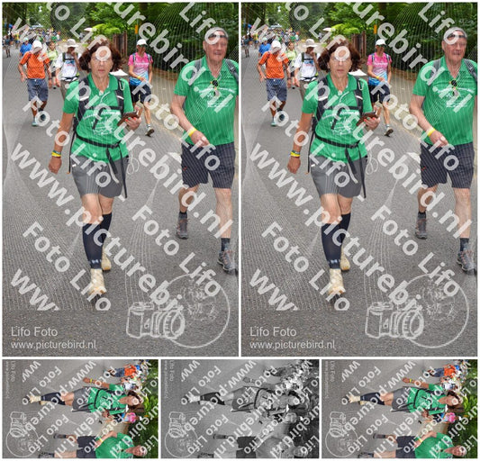 Evenement foto: Nijmeegse Vierdaagse 951