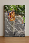 Evenement foto: Nijmeegse Vierdaagse 950