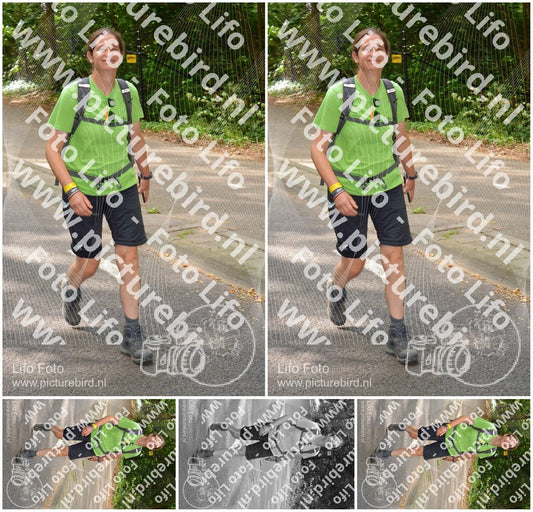Evenement foto: Nijmeegse Vierdaagse 950