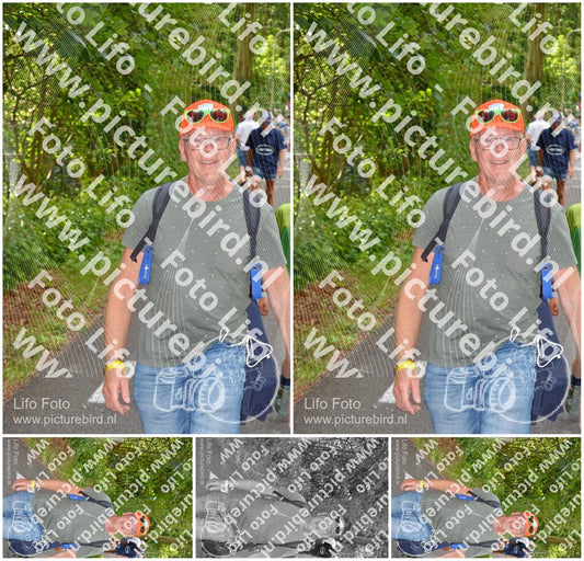 Evenement foto: Nijmeegse Vierdaagse 950