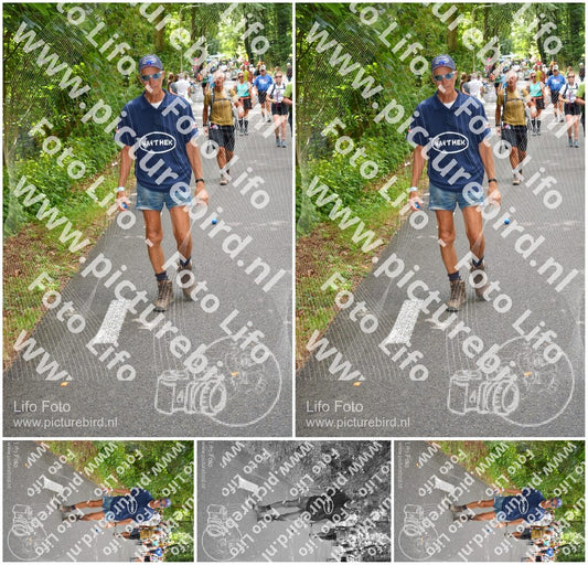 Evenement foto: Nijmeegse Vierdaagse 950