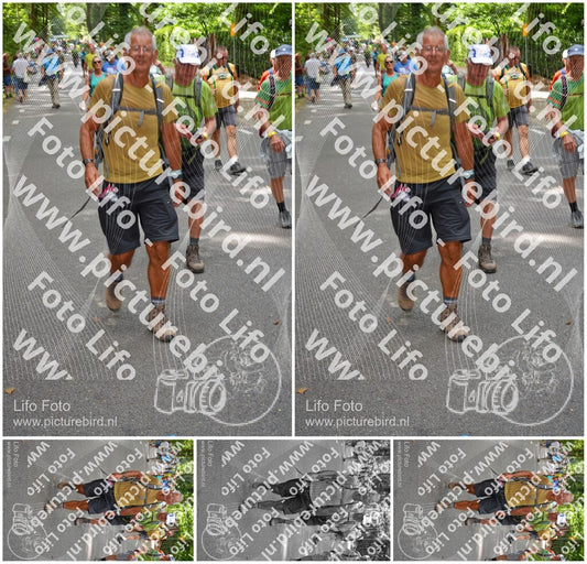 Evenement foto: Nijmeegse Vierdaagse 950