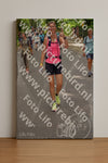 Evenement foto: Nijmeegse Vierdaagse 950