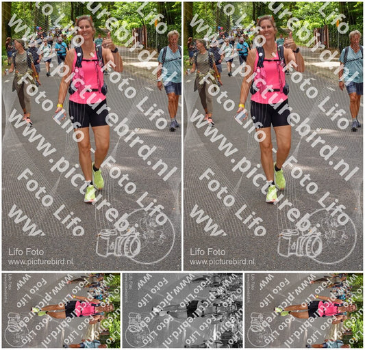 Evenement foto: Nijmeegse Vierdaagse 950