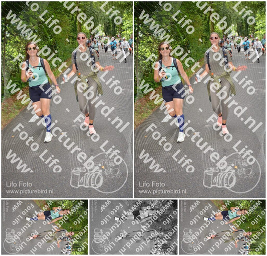 Evenement foto: Nijmeegse Vierdaagse 950