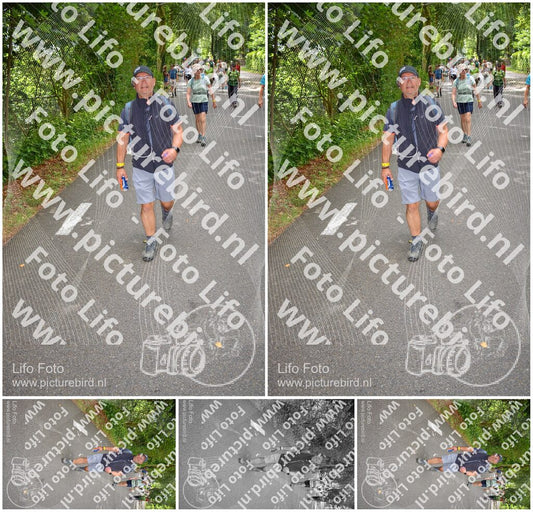 Evenement foto: Nijmeegse Vierdaagse 950