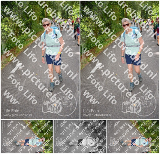 Evenement foto: Nijmeegse Vierdaagse 950