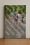 Evenement foto: Nijmeegse Vierdaagse 950