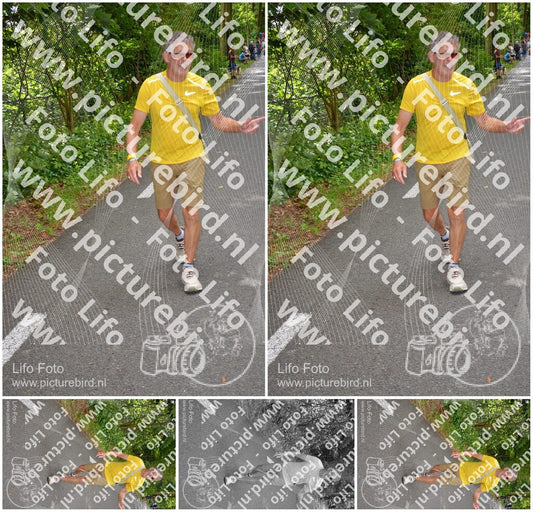 Evenement foto: Nijmeegse Vierdaagse 950