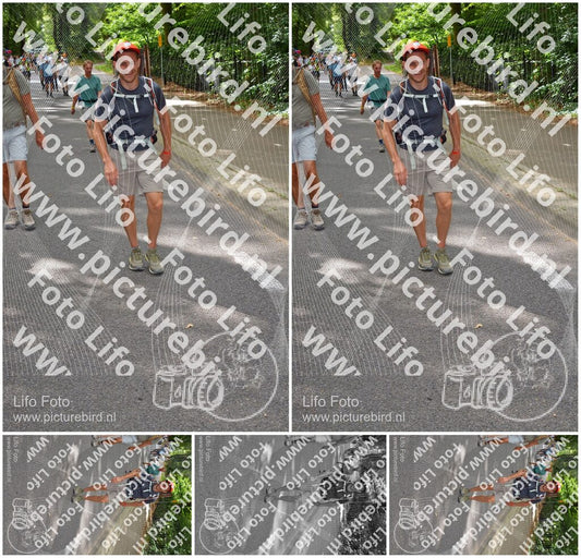 Evenement foto: Nijmeegse Vierdaagse 950