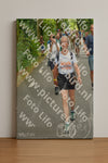 Evenement foto: Nijmeegse Vierdaagse 950