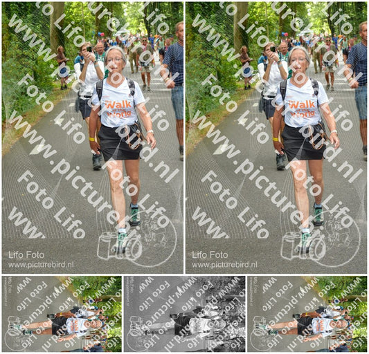 Evenement foto: Nijmeegse Vierdaagse 950