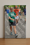 Evenement foto: Nijmeegse Vierdaagse 950