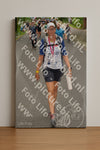 Evenement foto: Nijmeegse Vierdaagse 950