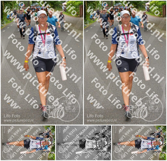 Evenement foto: Nijmeegse Vierdaagse 950