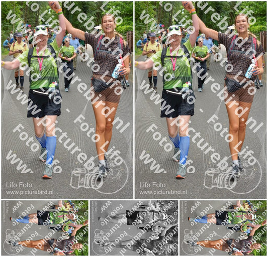 Evenement foto: Nijmeegse Vierdaagse 950