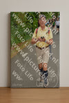 Evenement foto: Nijmeegse Vierdaagse 950